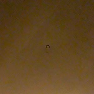 Meet your Posher, Curtis